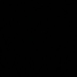 Meet your Posher, Frankie